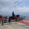 horserider403