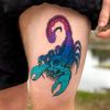 scorpion24246