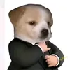 good.like2