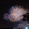 tt224598