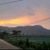 nvtdepzai1