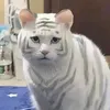 animalposting2