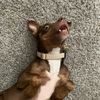 rnchpmn