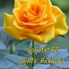 thaiauthai255
