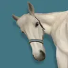 equi_..alice
