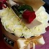 user40676191250388