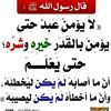amseef30