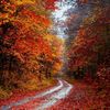 autumnlover143