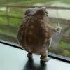 mullaritala