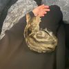 kendine_gel18