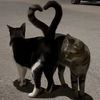 aftter_0