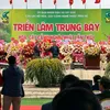 Kỳ cây cảnh@374@471😄671