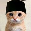 salaaffudin