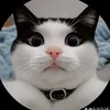 user0h1la57xja