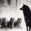 hicham_gattozo19