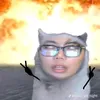 cherry_catt23