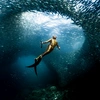 hiepq.freediving