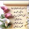 user4603502313257