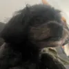 estebanoneesteban