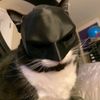 bagastoseven1