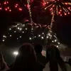 virmi_3