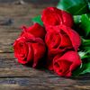 violeta_m._
