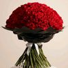 alimohamad8899