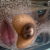 weqer_fyu