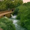 kalidhoms1