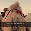 mohamed_11781