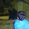 3bodj7