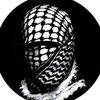 chibane.hassen