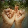 vishu_55_