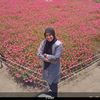 ira.hildani