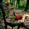 _heersiyal_
