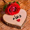 saida.doaa