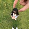 p0lli__