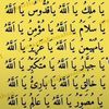 user8214325388282