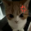 cyyy_is_here