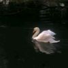 reemabdullah740