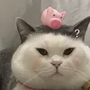 Kucing gemuk🐷🐽coco