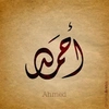 ahmedtamane7