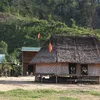 nongdan369