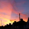 brian_7892
