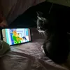 dinaxxx_8