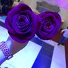 zain_19973