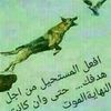 user2566796743059