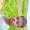 user2729618309885