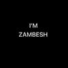 zambesh02