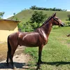 luizfilipepaulla
